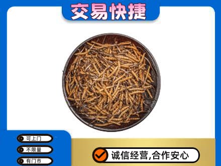 日喀则定日回收散虫草